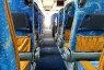 Man Lion's Coach Image