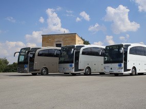 Tourism Transport Services